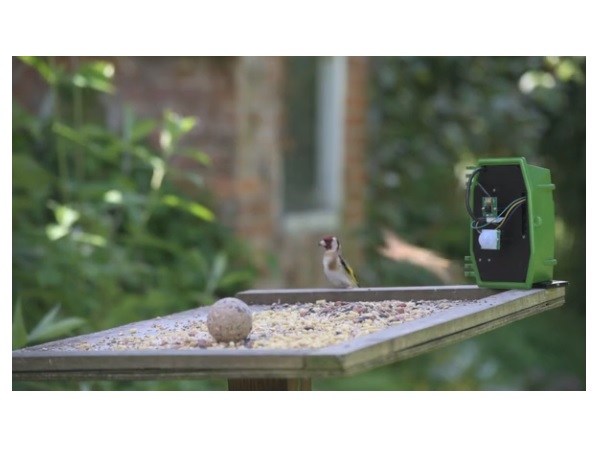 Diyで組み立てよう 庭にやって来た野生動物の写真 動画を撮影できるカメラキット Techable テッカブル