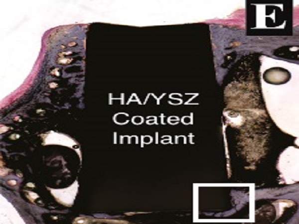 NCSU PEEK Rabiei HA-YSZ implant 01