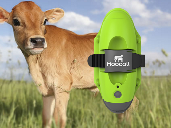 牛のためのウェアラブルデバイス「Moocall」