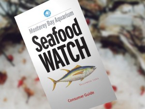 seafoodwatch-consumer-guide