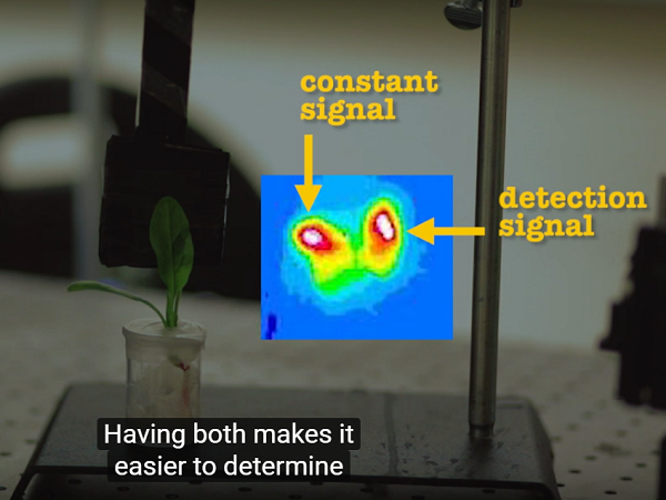 MIT spinach sensor 02