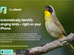 鳴き声から鳥の名前を導きだす鳥版shazamアプリ Song Sleuth Techable テッカブル