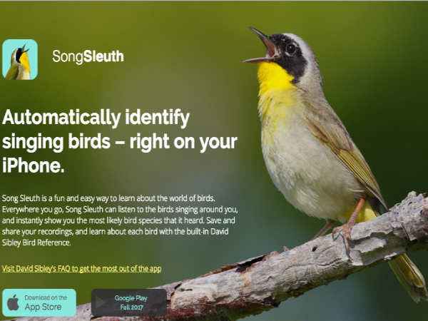 北米200種の鳥を鳴き声から検索できる「Song Sleuth」