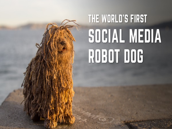 世界初のsnsロボット犬 Soshee が手のひらサイズでカワイイ ガジェット通信 Getnews