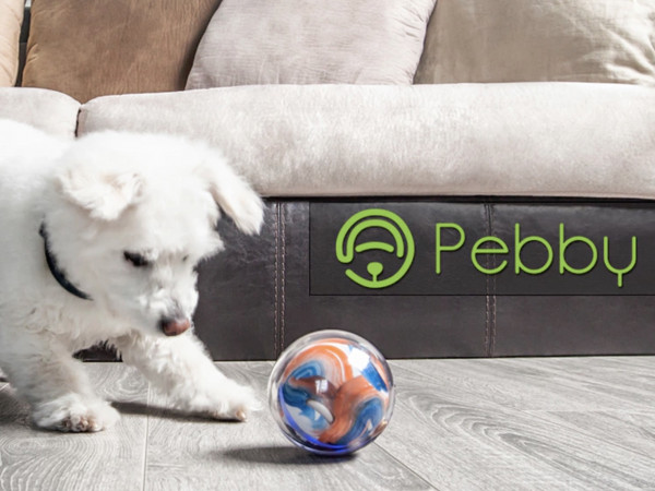 留守番中のペットと遊べるスマートボール Pebby は遠隔操作も可能 Techable テッカブル