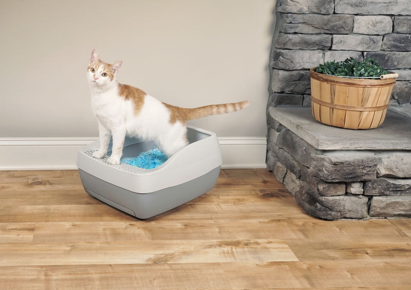 猫のトイレ掃除を簡単に Deluxe Crystal Litter Box System は月1回の砂全交換 Techable テッカブル