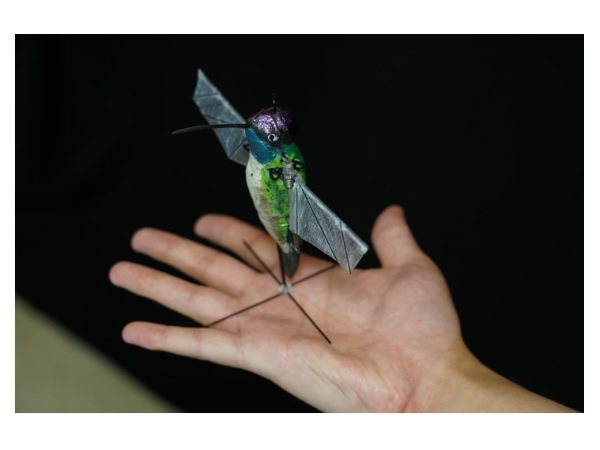 Ai ハチドリ型飛行ドローン 中空で滞空するハチドリの羽ばたきを真似 ドローンの小型サイズ化 静音化を実現する可能性 Techable テッカブル