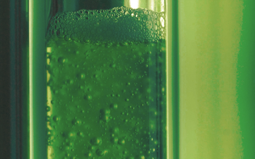 CO2を木より400倍効率的に吸収！藻が燃料のバイオリアクターの発売を米企業が発表