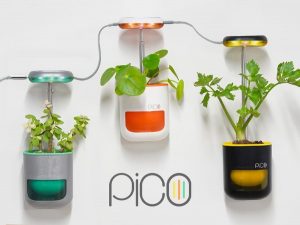 室内植物の水やりと日照を自動化 レトロなのにスマートな栽培器 Pico が登場 Techable テッカブル