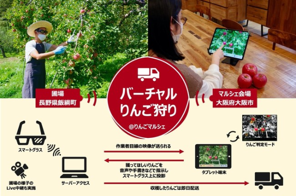 大阪で長野のりんごを狩る！？ 「バーチャルりんご狩り」開催