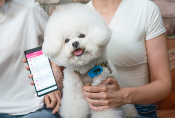 AIなどを活用して愛犬の健康管理をサポートする「PuppyDoc」日本上陸！