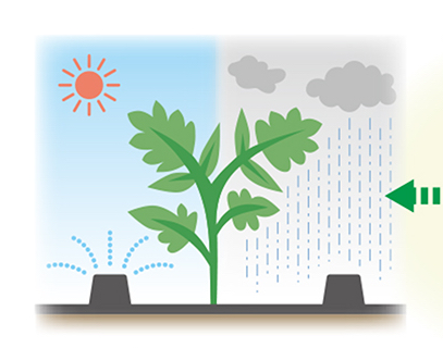 庭園の自動水やりシステムが天気に合わせて水加減できるように