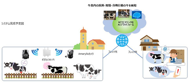 AIが牛の健康状態を分析！ NTT東日本の実証実験とは