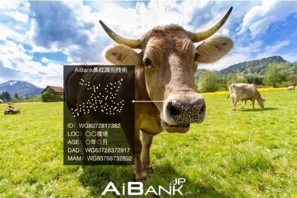 スマホカメラの画像からAIによる和牛の個体識別ができる「鼻紋認証技術」