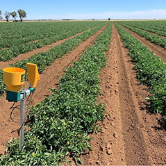 地球規模のスマート農業に対応する農業ICTプラットフォーム「CropScope」
