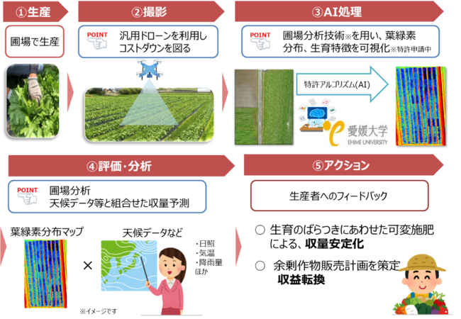 農業にDXを！ NTT西日本グループ、愛媛大学、青空株式会社が、農作物生産コントロールの実証実験