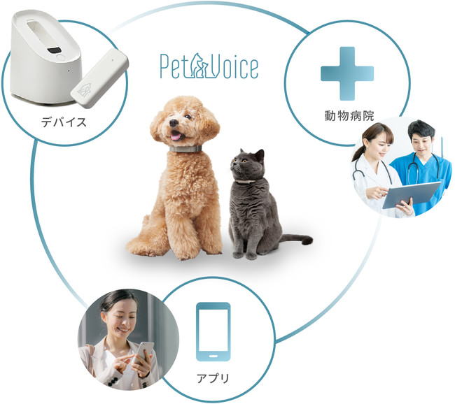愛犬愛猫の健康を維持。ペット向け首輪型健康管理デバイスを提供するPetVoice