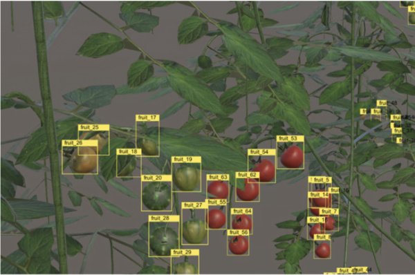 農作物栽培環境をVR上に完全再現する農業版3Dデジタルツイン