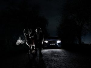 暗闇でベンテイガのライトがトナカイを照らしている写真